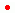 日本語